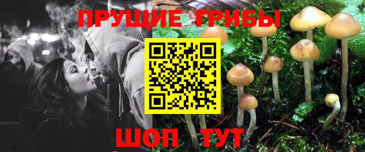 Галлюциногенные грибы ЛСД  Галлюциногенные грибы Psilocybe  Алушта  Вход с VPN 